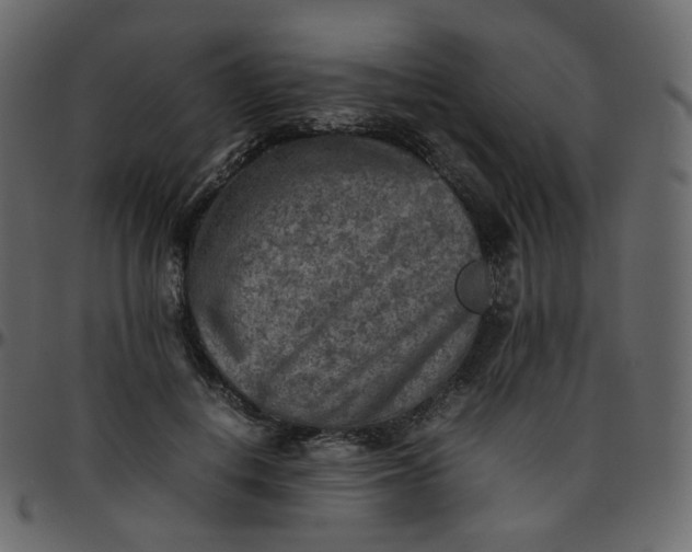 X0000095690648200801221248