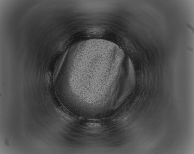 X0000095690649200801221248