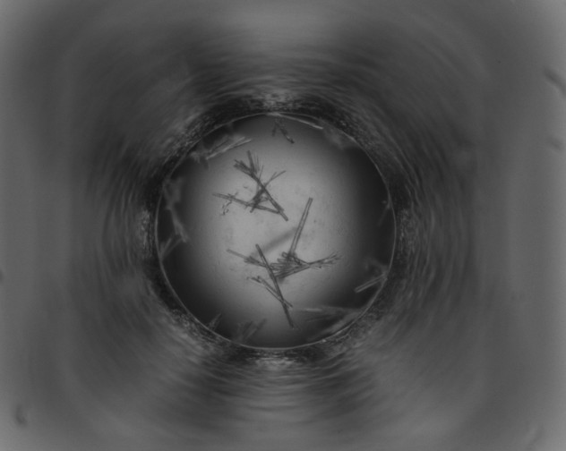 X0000095690650200801221248