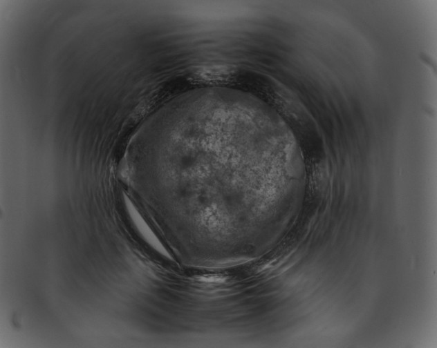 X0000095690651200801221248