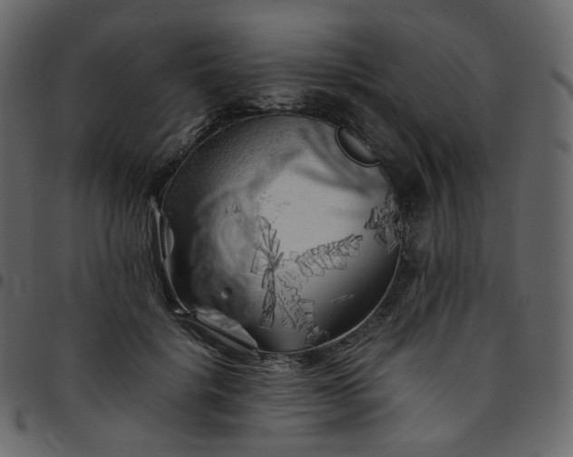 X0000095690652200801221248