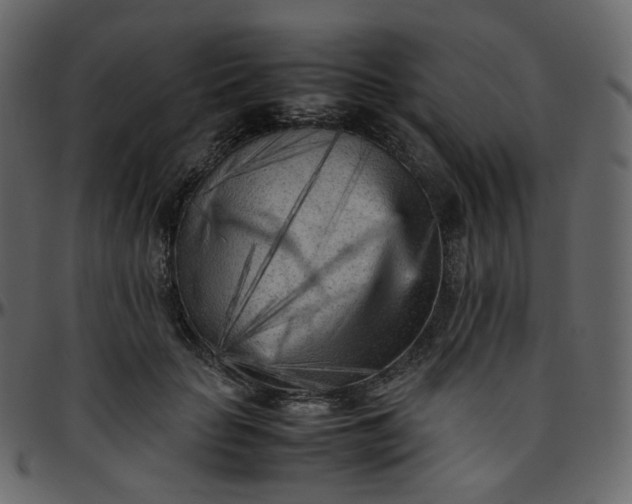 X0000095690653200801221248