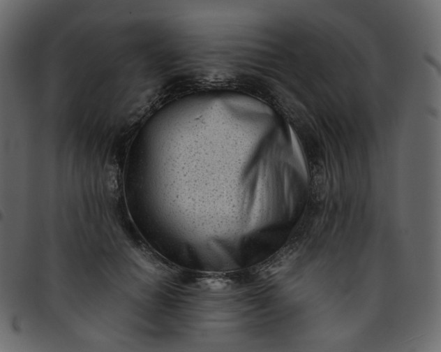 X0000095690654200801221248