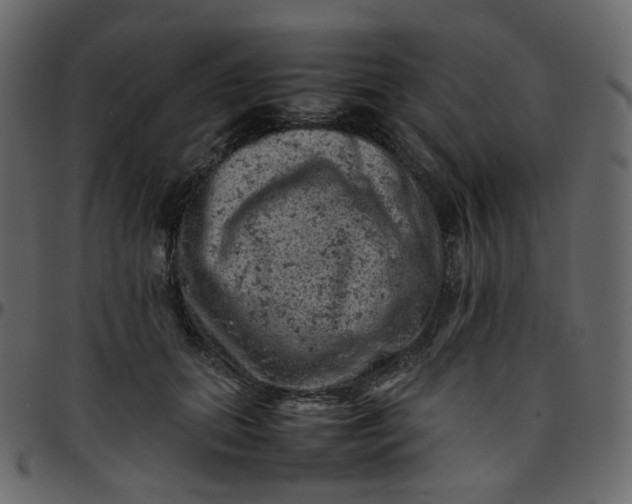 X0000095690655200801221248