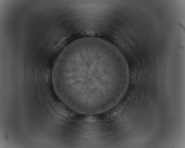 X0000095690656200801221248