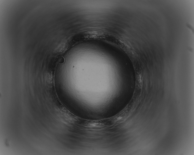 X0000095690657200801221248