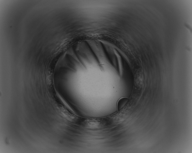 X0000095690658200801221248