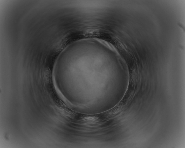 X0000095690659200801221248