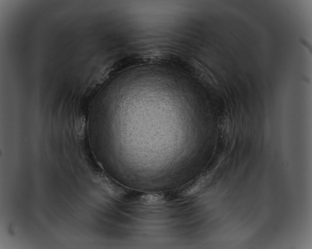 X0000095690660200801221248