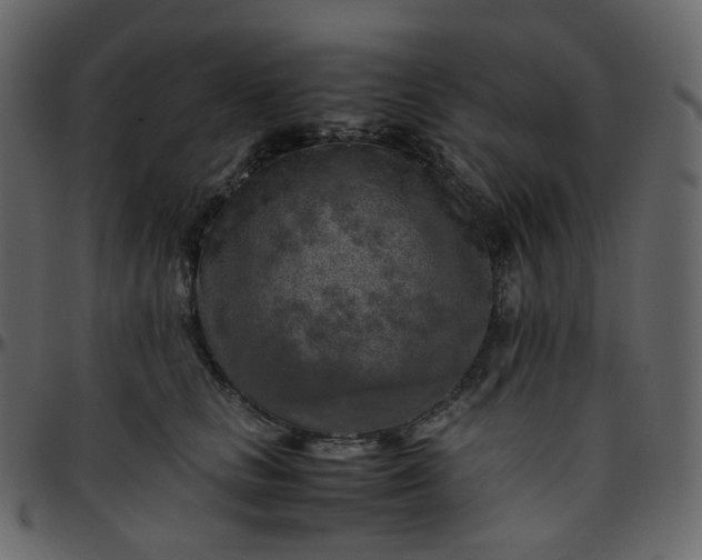 X0000095690661200801221248