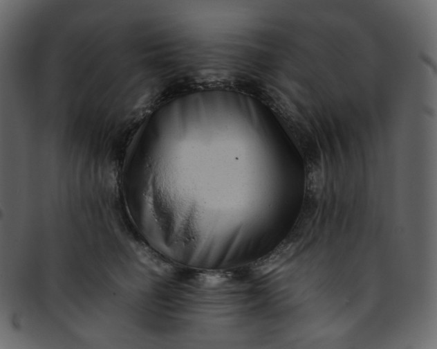 X0000095690662200801221248