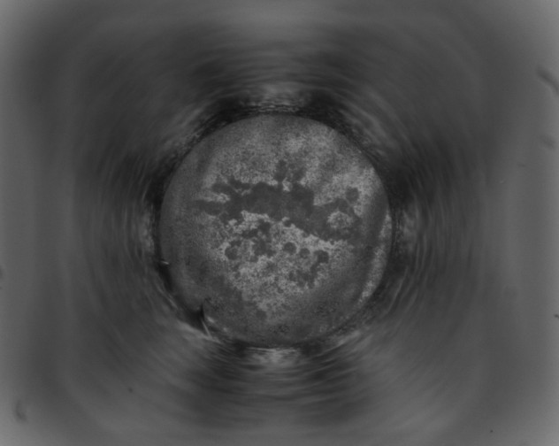 X0000095690663200801221248