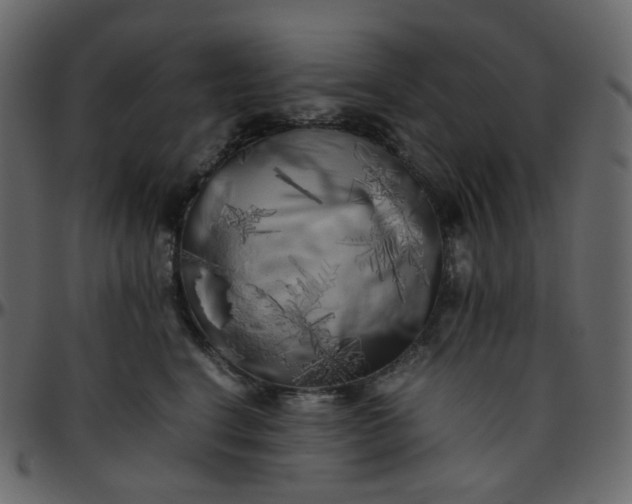 X0000095690664200801221248