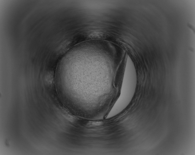 X0000095690665200801221248