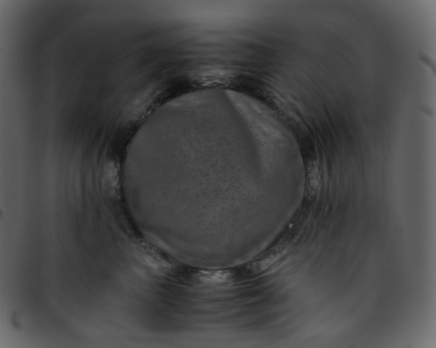 X0000095690667200801221248