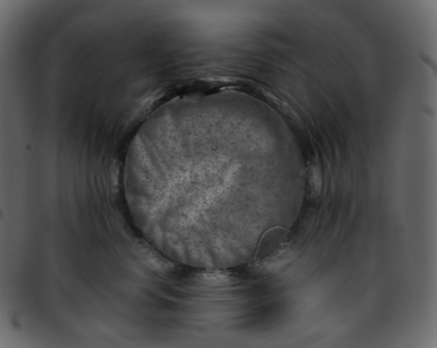 X0000095690668200801221248