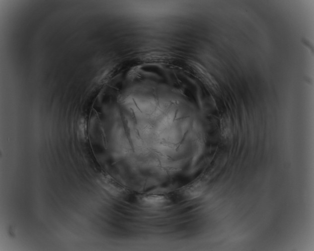 X0000095690669200801221248