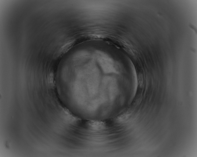 X0000095690670200801221248