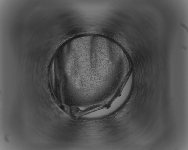 X0000095690673200801221248