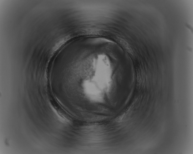 X0000095690674200801221248