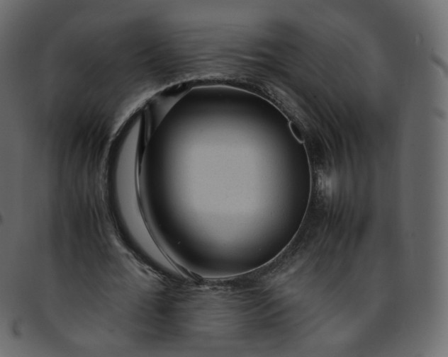 X0000095690676200801221248