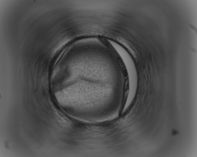 X0000095690677200801221248