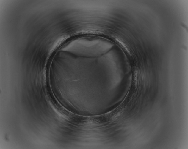 X0000095690678200801221248