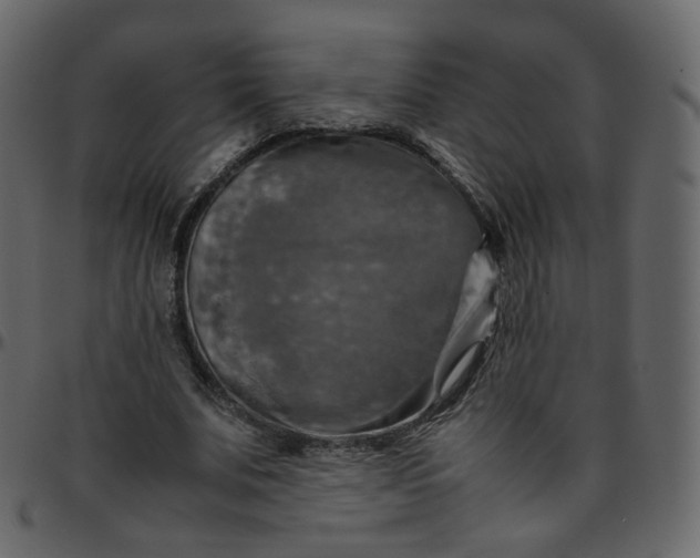 X0000095690679200801221248