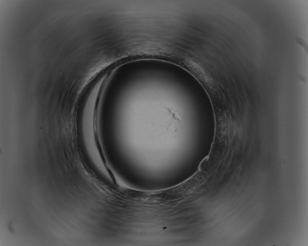 X0000095690680200801221248