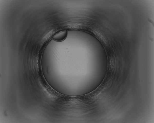 X0000095690682200801221248