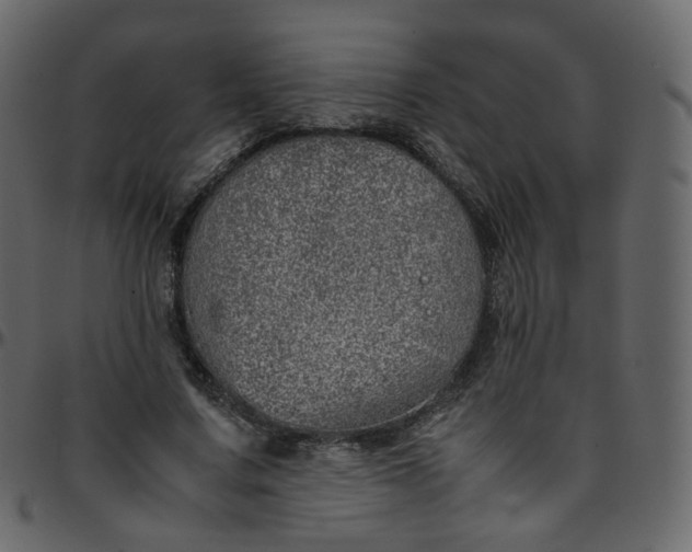 X0000095690683200801221248