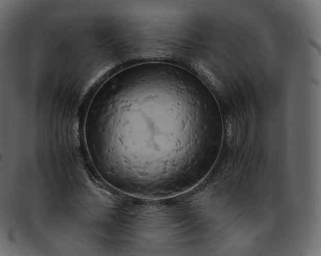 X0000095690684200801221248