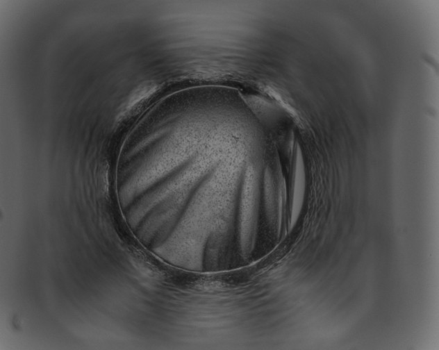 X0000095690685200801221248