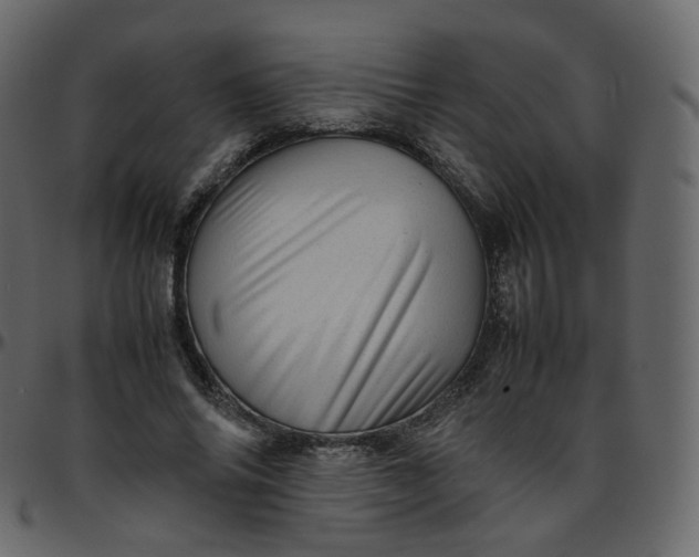 X0000095690686200801221248