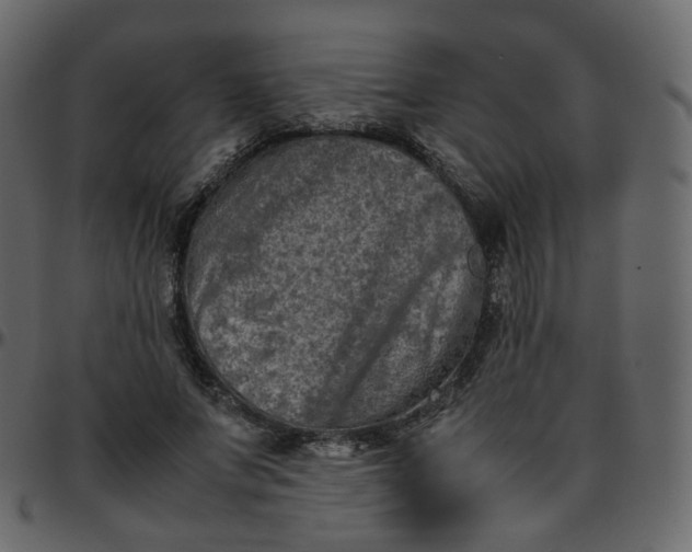 X0000095690687200801221248