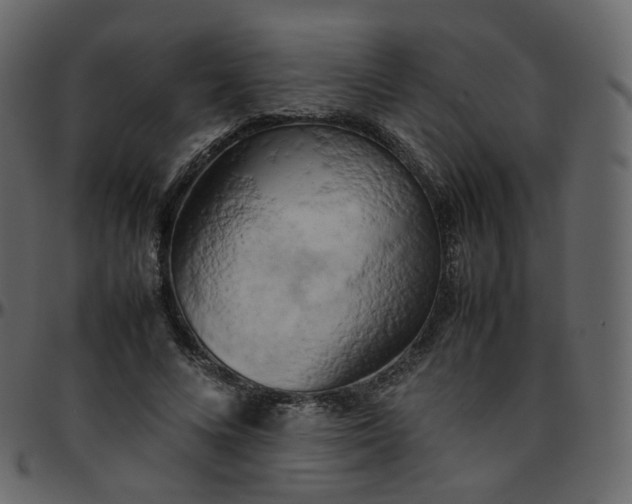 X0000095690688200801221248