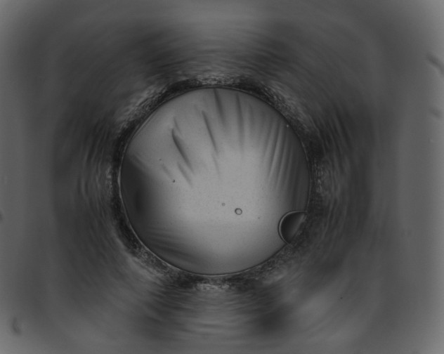 X0000095690690200801221248