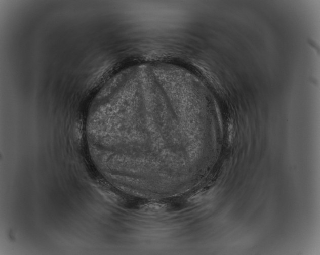 X0000095690691200801221248