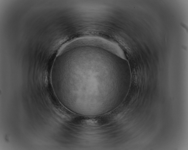 X0000095690692200801221248