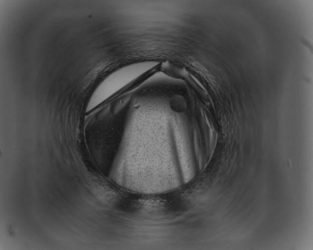 X0000095690693200801221248