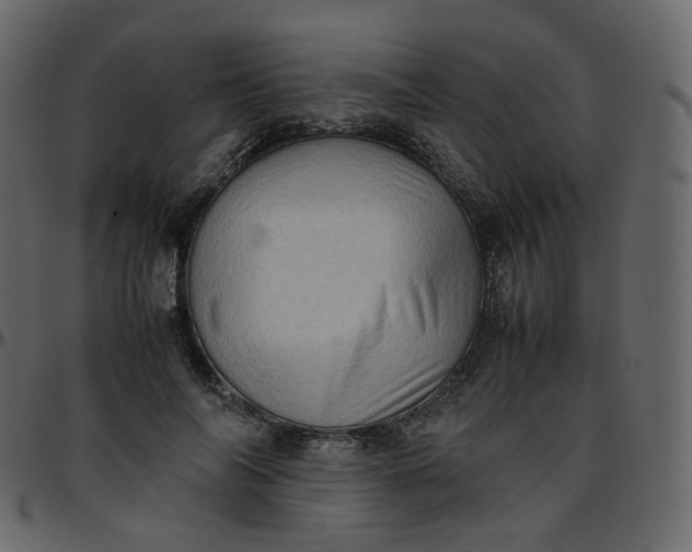 X0000095690694200801221248