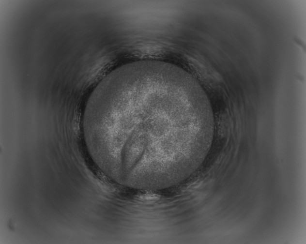 X0000095690695200801221248