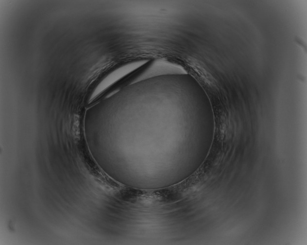 X0000095690696200801221248