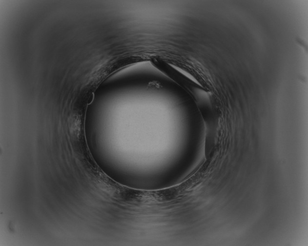 X0000095690697200801221248