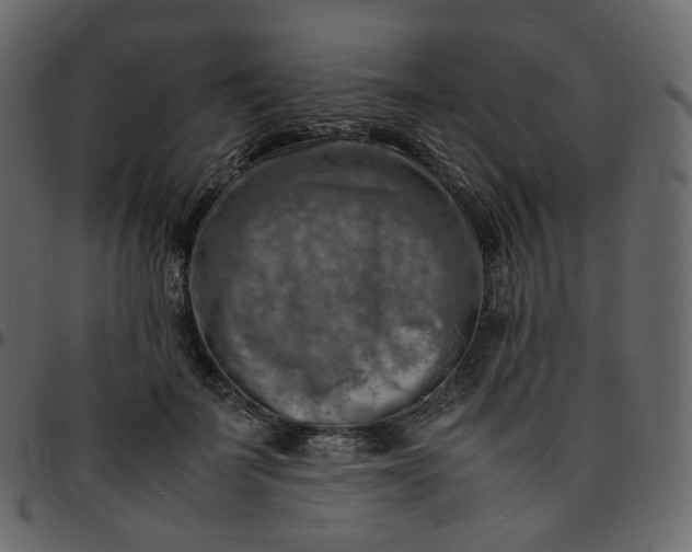 X0000095690699200801221247