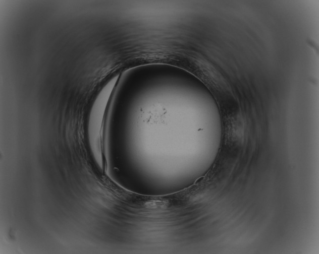 X0000095690700200801221247