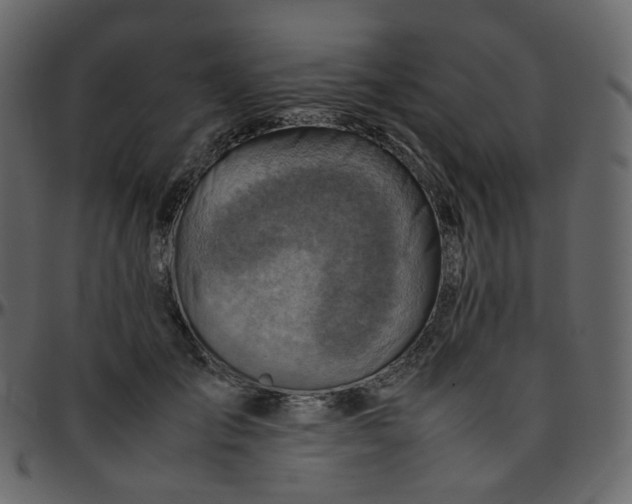 X0000095690701200801221247