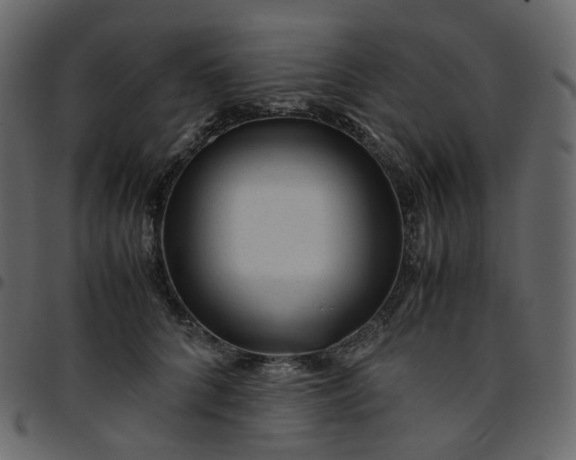 X0000095690704200801221247