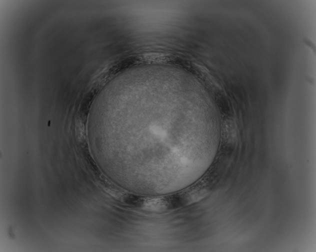 X0000095690705200801221247