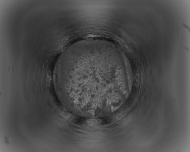 X0000095690707200801221247